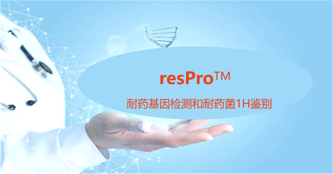 resPro，细菌耐药基因谱