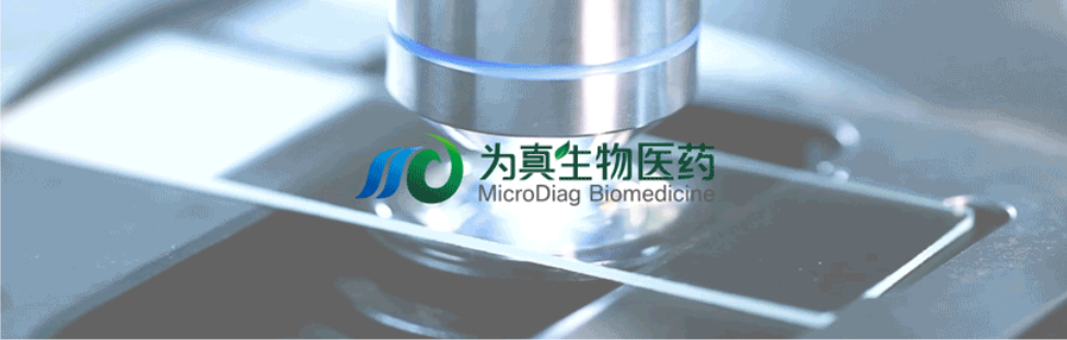 王莹院长领衔，王弢博士技术负责的研发项目获浙江省2024年度“尖兵”“领雁”研发攻关计划项目立项